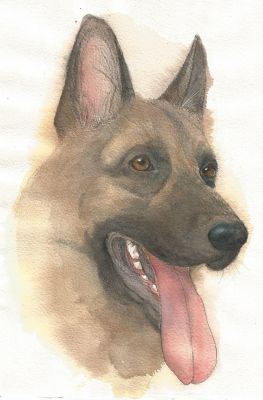 artwork berger allemand