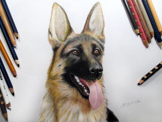 artwork berger allemand