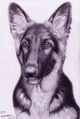 artwork berger allemand