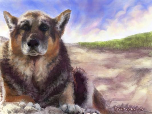 artwork berger allemand