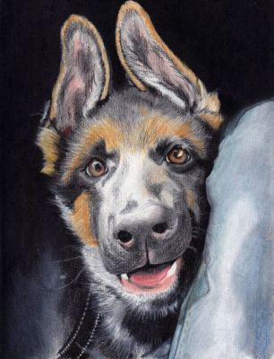 artwork berger allemand