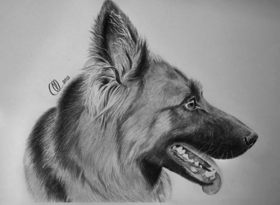 artwork berger allemand