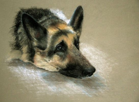 artwork berger allemand