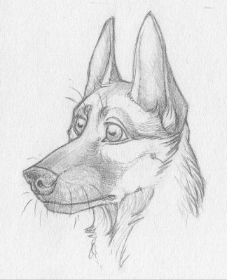 artwork berger allemand