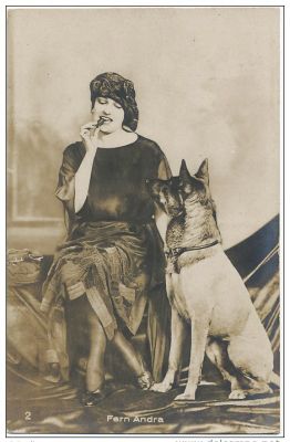 carte postale berger allemand