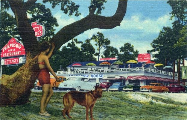 carte postale berger allemand