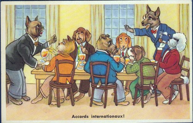 carte postale berger allemand