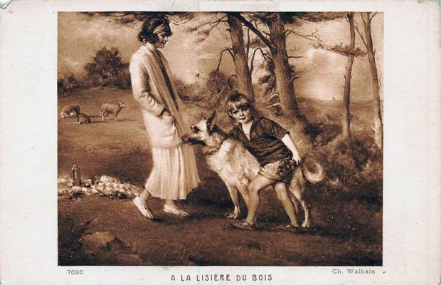 carte postale berger allemand