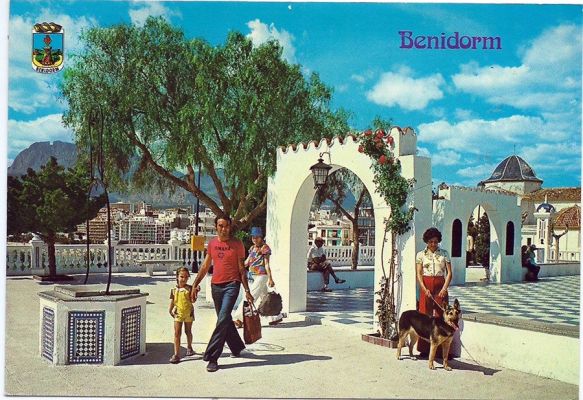 carte postale berger allemand