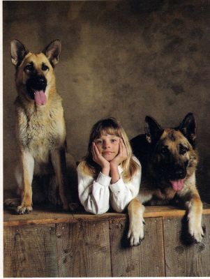 carte postale berger allemand