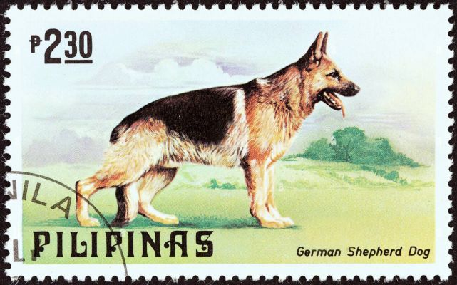 timbre berger allemand