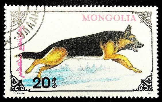 timbre berger allemand