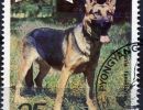 timbre berger allemand