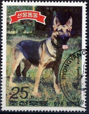 timbre berger allemand