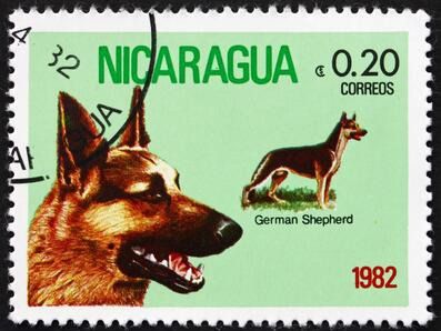 timbre berger allemand