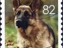timbre berger allemand