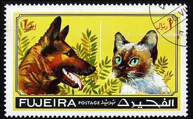 timbre berger allemand