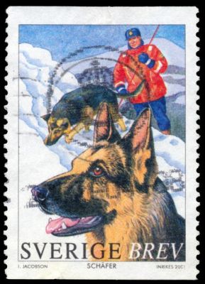 timbre berger allemand