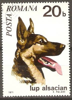 timbre berger allemand