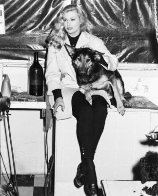 anita ekberg berger allemand