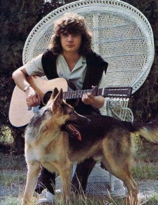 daniel balavoine berger allemand