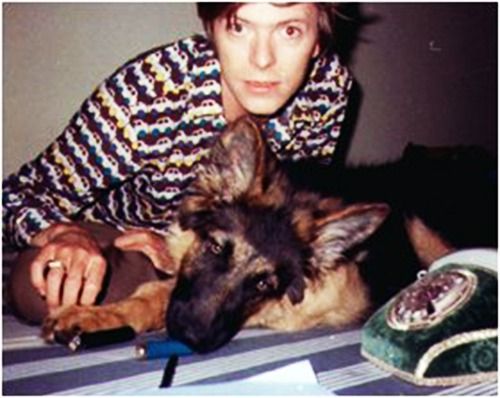 david bowie berger allemand