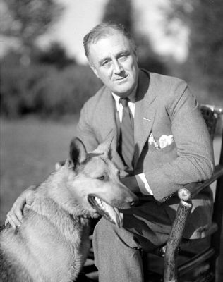 franklin d. roosevelt with his german shepherd major