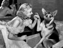 ginger rogers berger allemand