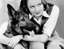 ingrid bergman berger allemand