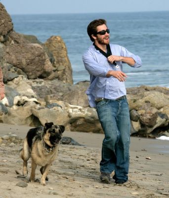 jake gyllenhaal berger allemand