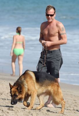 kiefer sutherland berger allemand