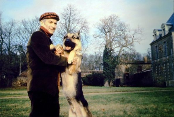 louis de funes berger allemand