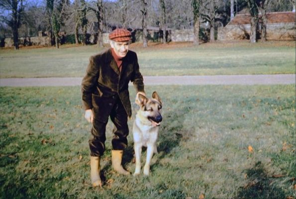 louis de funes berger allemand