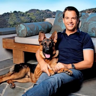 michael weatherly berger allemand