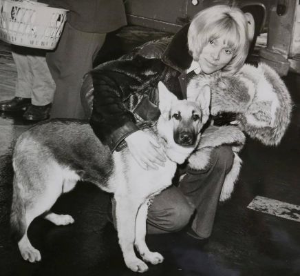 mireille darc berger allemand