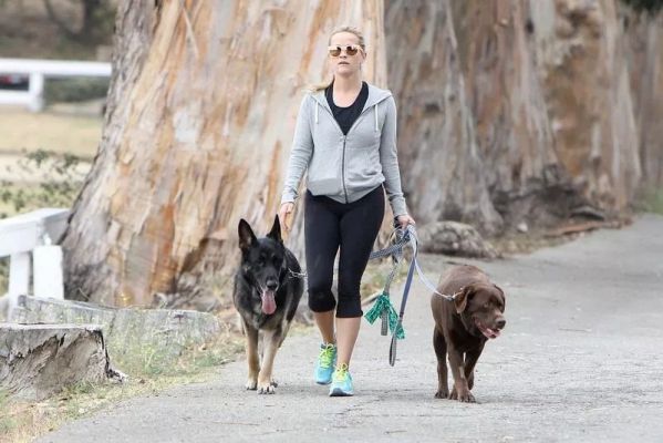 reese witherspoon berger allemand