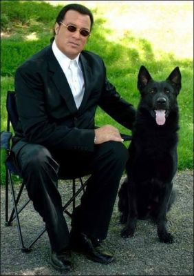steven seagal