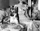yvonne decarlo berger allemand
