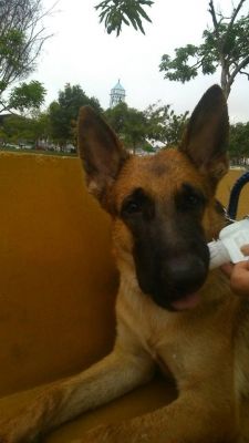 12736043 10208832423472737 n