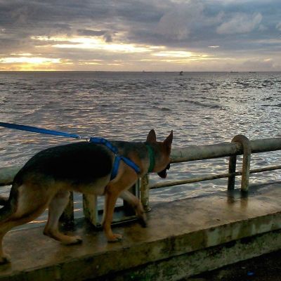 12746177 10208832423512738 n