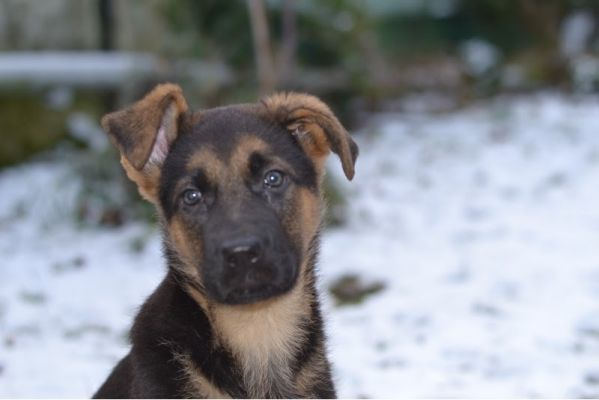 ae55bf11648b432297cc6c42882851b3