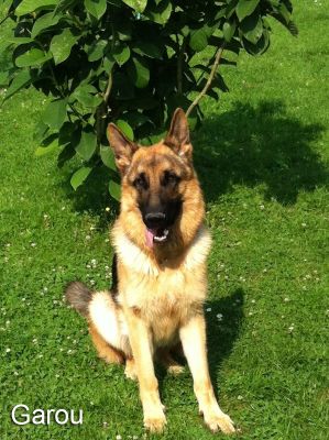 garou