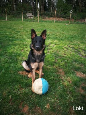 img 20190418 101706 resized 20190419