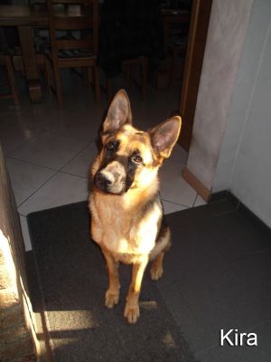kira4