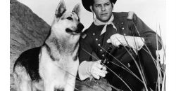10 rintintin serie 