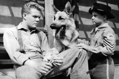 11 rintintin serie