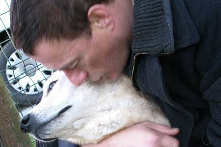 Jean-Claude Van Damme adopte des chiens aux quatre coins du monde