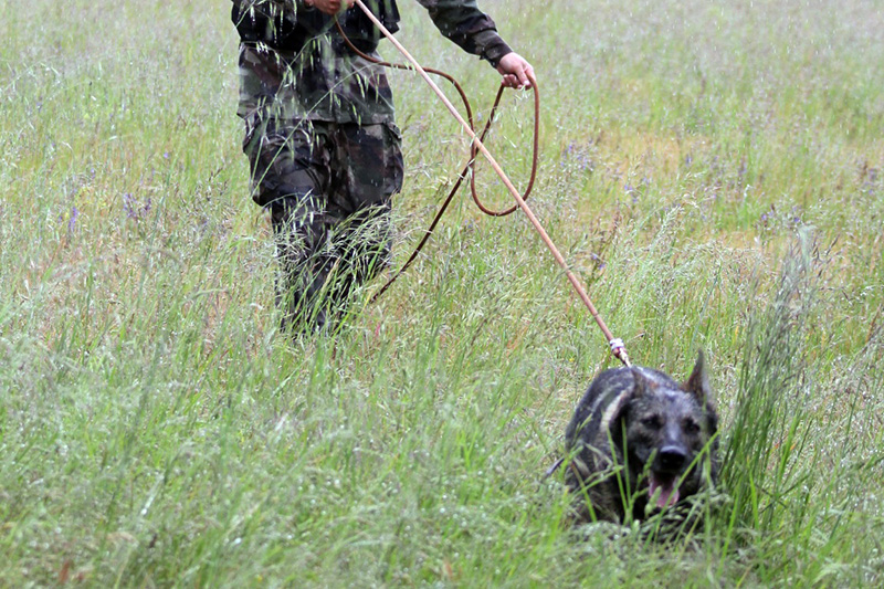 Jedï retrouve l'enfant disparu