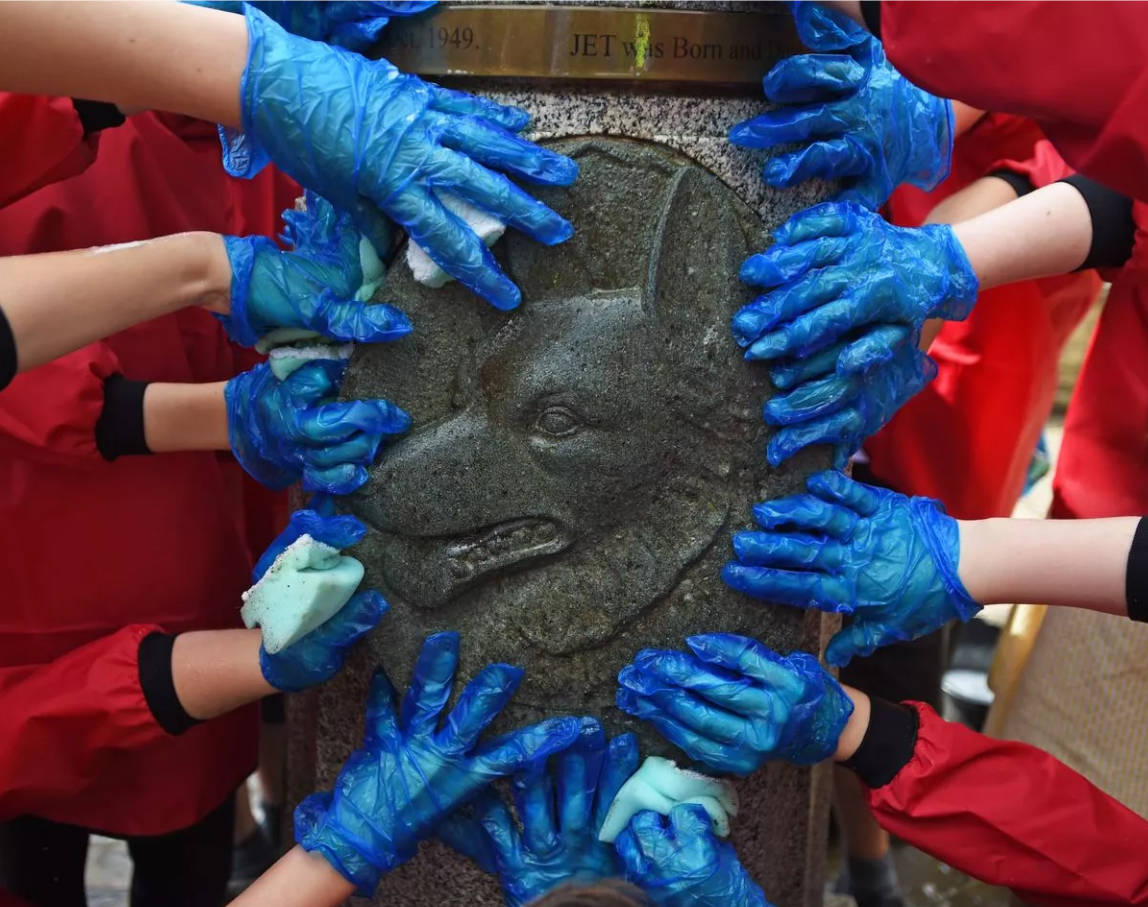 Jet of Iada: the German Shepherd hero of the Blitz — memory and tribute