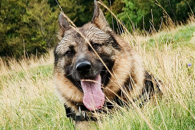 Retraite pour John Doe de la Police nationale du Territoire de Belfort!